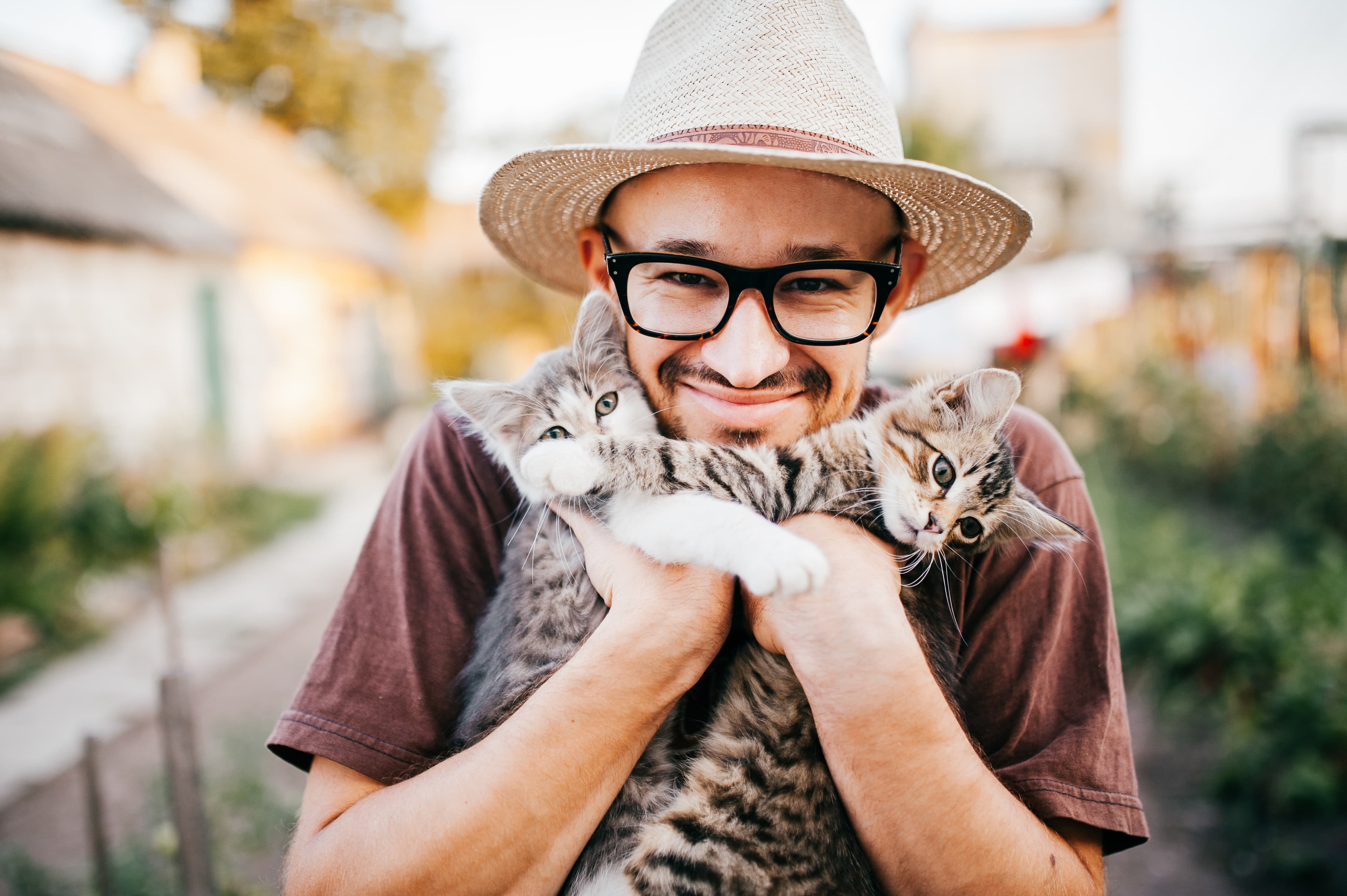 Kitten Insurance